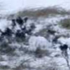 Videoklip: Foals – Spanish Sahara