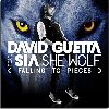 David Guetta kraluje klubům se skladbou She Wolf (Falling To Pieces)