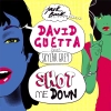 David Guetta má nový singl Shot Me Down