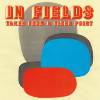 Projekt In Fields vydal už třetí album