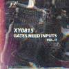 XY0815 vydá druhý díl "Gates Need Inputs"