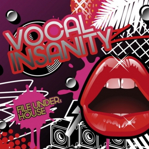 VA - Vocal Insanity File Under House (2008)