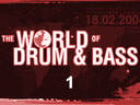 The World Of Drum & Bass 2008