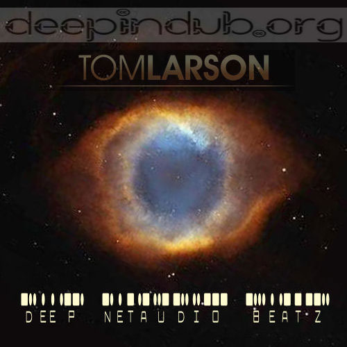 TOM LARSON - DEEP NETAUDIO BEATZ