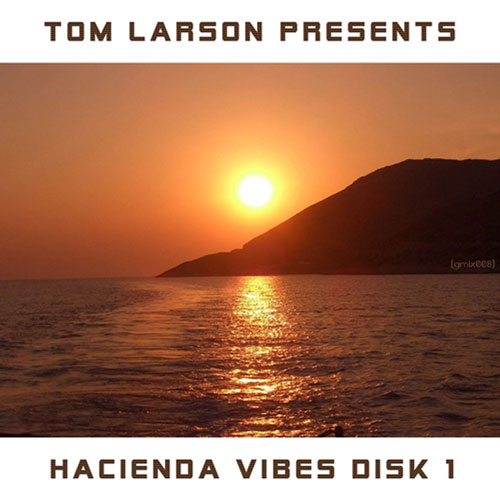 TOM LARSON - HACIENDA VIBES