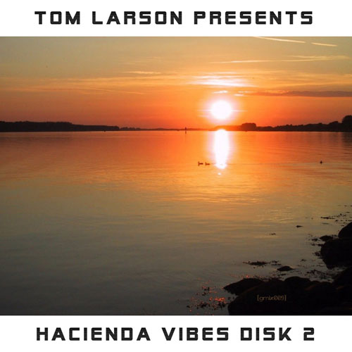 TOM LARSON - HACIENDA VIBES DISK 2