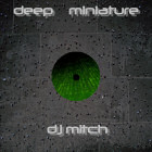 DJ MITCH - DEEP MINIATURE - Loopzilla 25th release