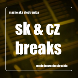 Electronica - Made in CzechoSlovakia