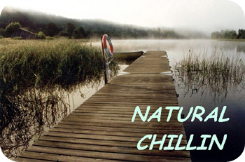 Natural chillin mix - DJ Nature 