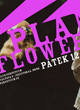 PLANET FLOWERS 