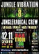 JUNGLE VIBRATION 8