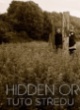HIDDEN ORCHESTRA (UK)