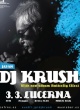 DJ KRUSH (JAP)